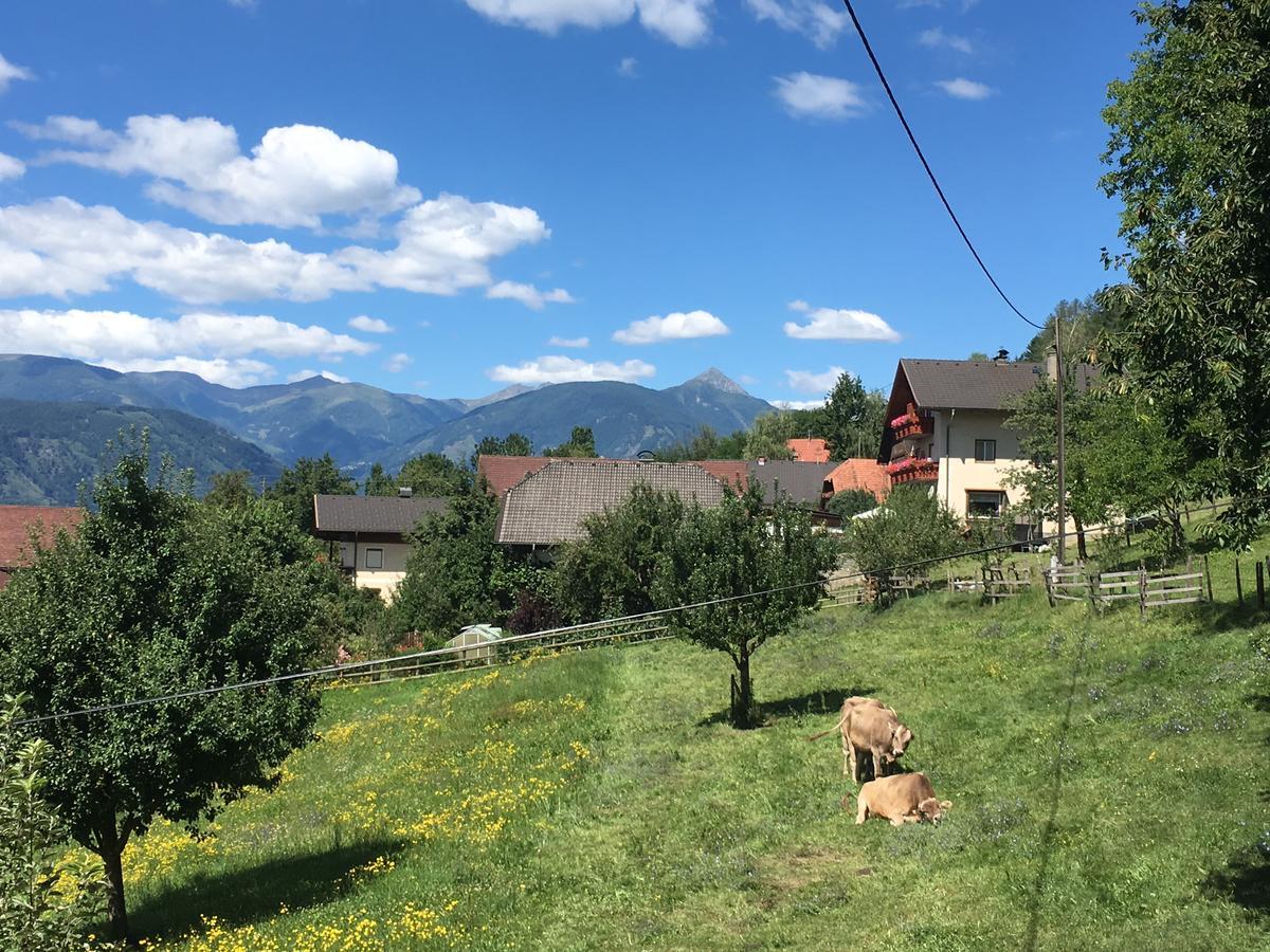 B&B Pension Karlsdorfer Hof سيبودن المظهر الخارجي الصورة